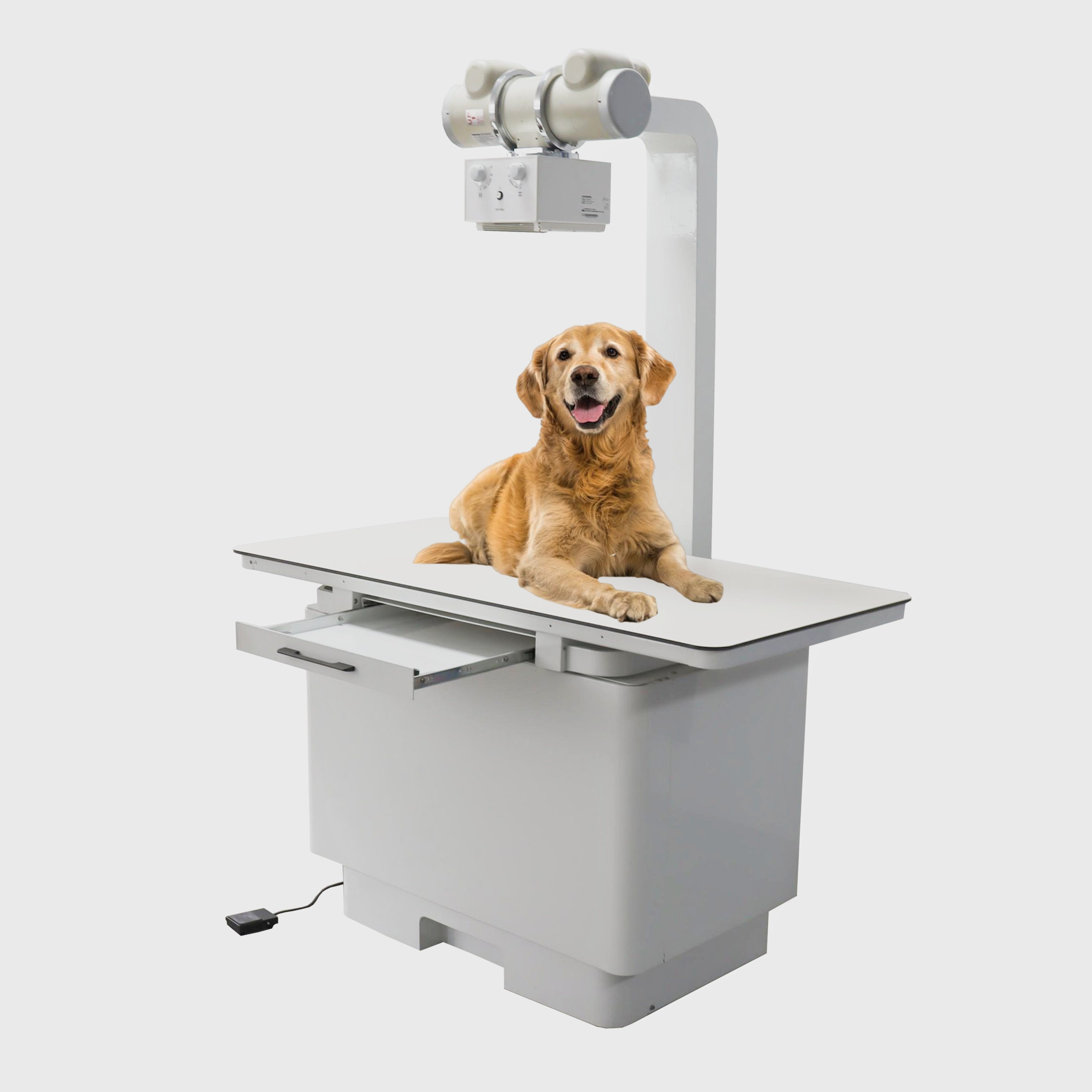 Máquinas-veterinárias-de-radiografia-digital-profissionais