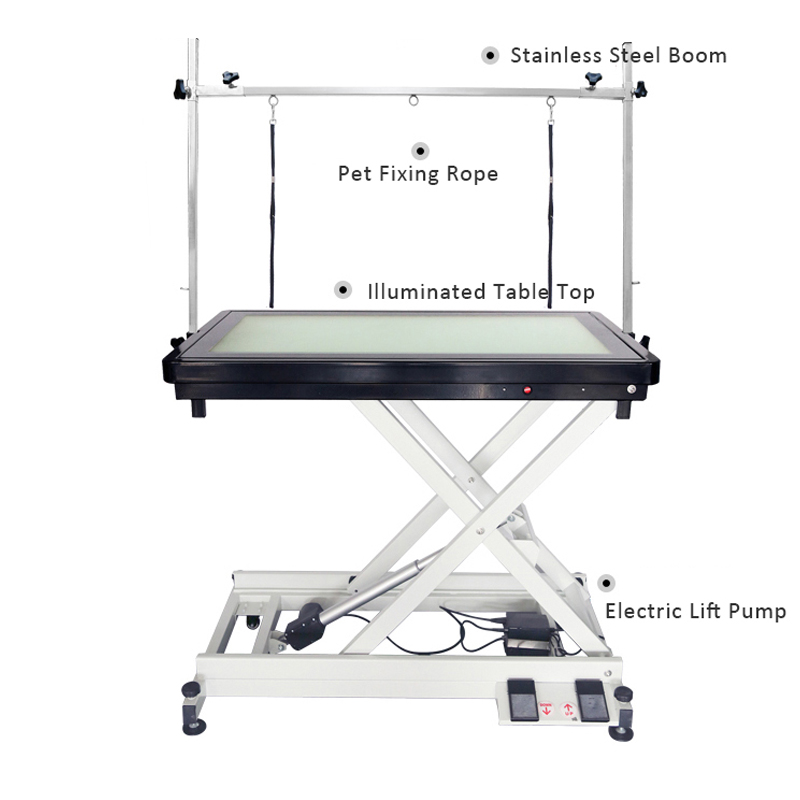 Mesa elétrica hidráulica para tratamento de animais de estimação com altura ajustável N-141