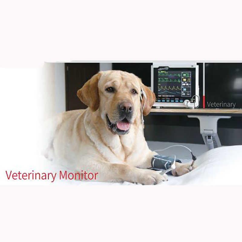 Monitor veterinário multiparâmetro portátil de tela grande de 8 polegadas CMS6000VET