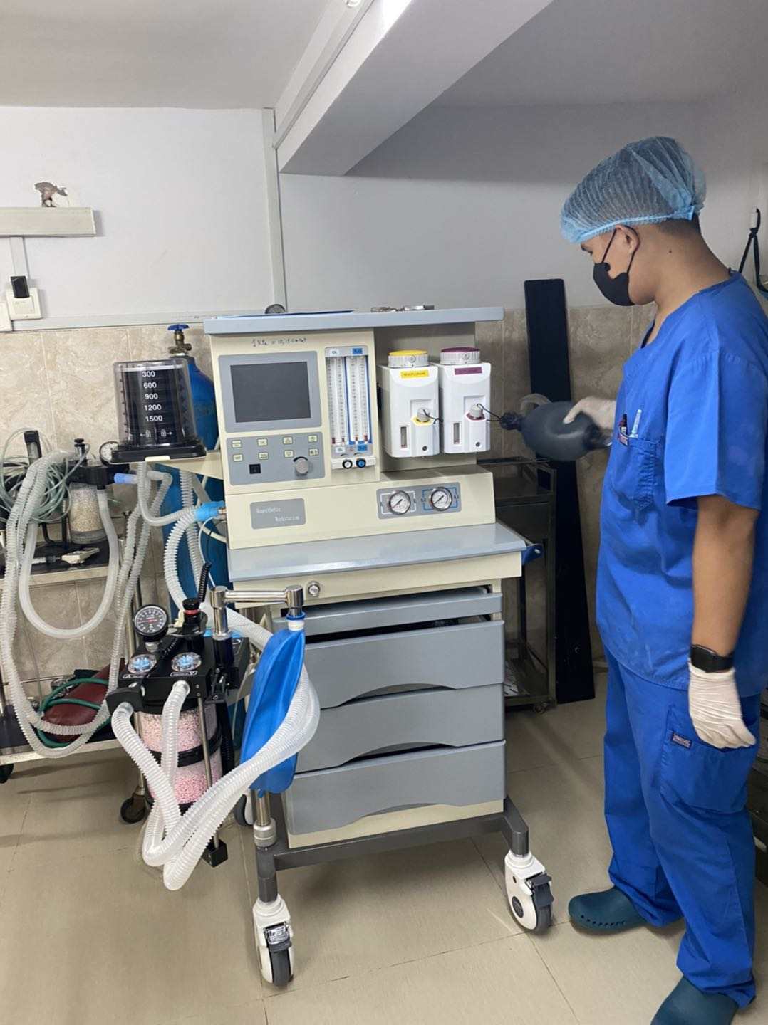 Máquina portátil de anestesia veterinária GSM-IIIA